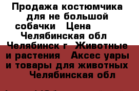 Продажа костюмчика для не большой собачки › Цена ­ 200 - Челябинская обл., Челябинск г. Животные и растения » Аксесcуары и товары для животных   . Челябинская обл.